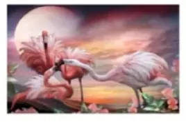 malowanie-po-numerach-flamingi