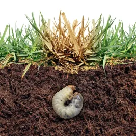 natur-bloker-przeciw-szkodnikom-na-krety-turkucie-nicienie-naturalny-1000-g