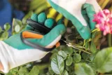 fiskars-nozyczki-do-kwiatow-roslin-solid-sp15