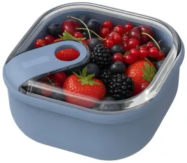lunchbox-pojemnik-na-zywnosc-do-lodowki-rotho-ela-2-l-szczelny-blekitny