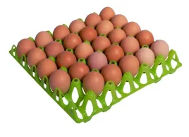 tacka-wytlaczanka-plastikowa-na-30-jaj-jajek-1szt