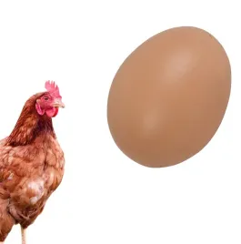 jajka-jajko-podkladowe-kurze-kura-duze-1-szt-braz