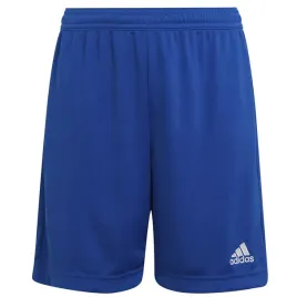 adidas-spodenki-pilkarskie-entrada-22-hg6291-niebieski-164