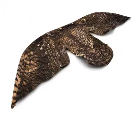 odstraszacz-ptakow-szpakow-golebi-mew-sowa-z-ruchomymi-skrzydlami-orzel