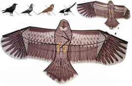 profesjonalny-odstraszacz-ptakow-golebi-szpakow-sokol-latawiec-orzel