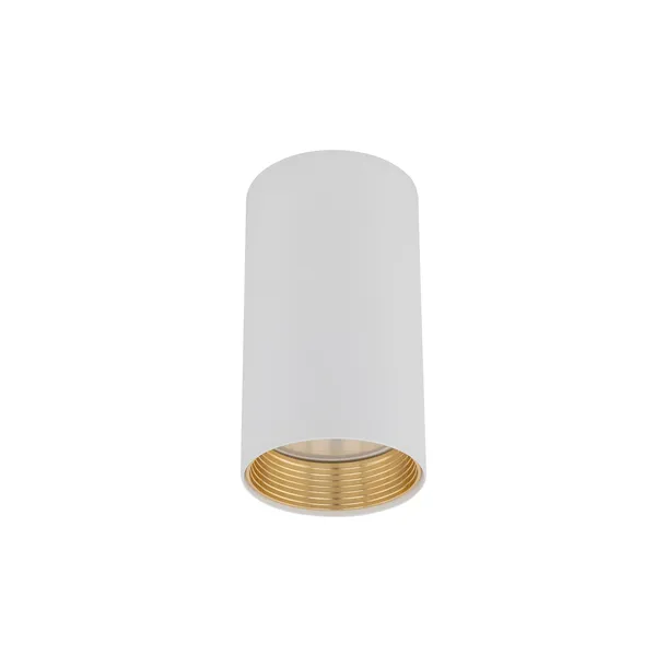 amis-white-downlight