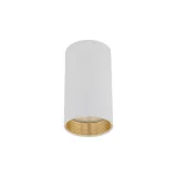 amis-white-downlight