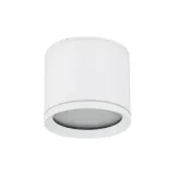 vivo-white-gx53