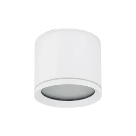 vivo-white-gx53