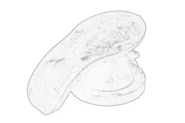 poduszka-silnika-0137g0