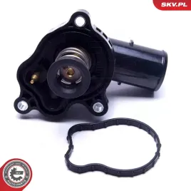 termostat-kpl-z-obudowa-20skv119-skv
