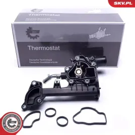 termostat-kpl-z-obudowa-20skv091-skv