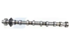 walek-rozrzadu-ssacy-50056049-kbs