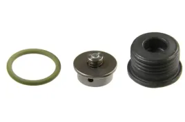 zestaw-naprawczy-systemu-common-rail-f00n202418-bos