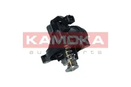termostat-kpl-7710009-kao