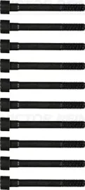 zestaw-srub-glowicy-cylindrow-14-55009-01-rnz