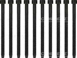 zestaw-srub-glowicy-cylindrow-14-32121-01-rnz