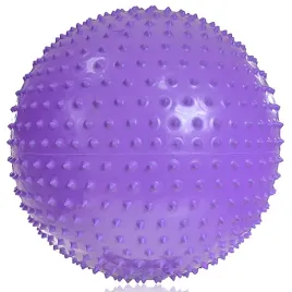 pilka-gimnastyczna-z-masazem-profit-55cm-fioletowa-dk2104