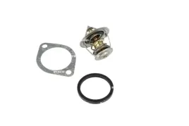 termostat-srodka-chlodzacego-nrf-725302