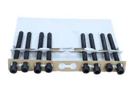 zestaw-srub-glowicy-cylindrow-aju81055700
