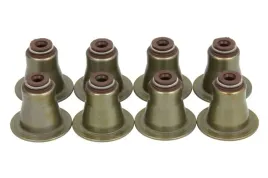 zestaw-uszczelniaczy-trzonka-zaworow-aju57066400