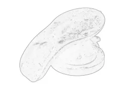 poduszka-silnika-0137g0