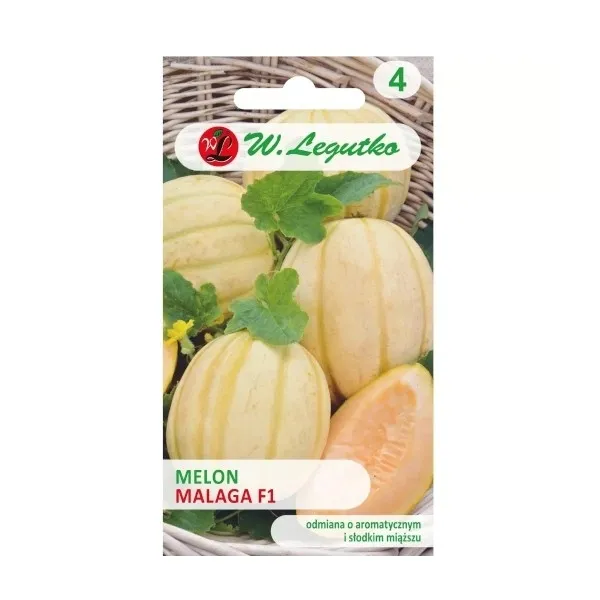melon-malaga-f1-05g-styl-ogrod-japonski-ogrod-srodziemnomorski
