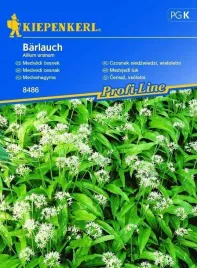 kiepenkerl-czosnek-niedzwiedzi-barlauch
