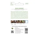 seler-listkowy-02g-rodzaj-rosliny-seler