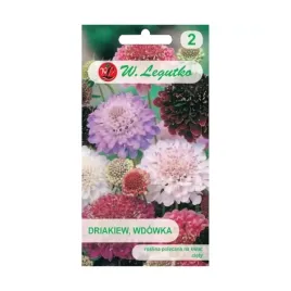 driakiew-wdowka-05g