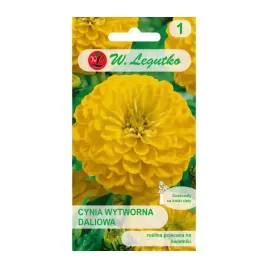 cynia-wytworna-daliowa-canary-brid-1g