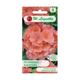 pelargonia-rabatowa-lososiowa-005g