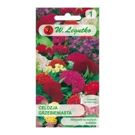 celozja-grzebieniasta-03g