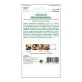 celozja-grzebieniasta-03g-rodzaj-rosliny-mieszanka-roslin