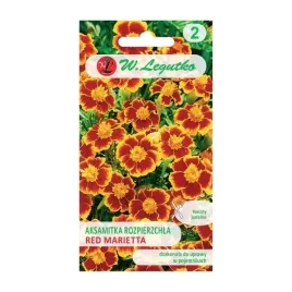 aksamitka-rozpierzchla-red-marietta-1g