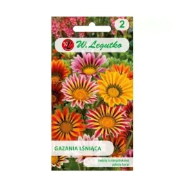 gazania-lsniaca-03g
