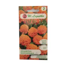 aksamitka-rozpierzchla-pomaranczowa-1g