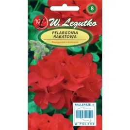 pelargonia-rabatowa-czerwona-005g