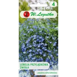 lobelia-zwisla-niebieska-02g