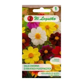 dalia-zmienna-o-pojedynczych-kwiatach-1g