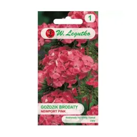gozdzik-brodaty-newport-pink-05g
