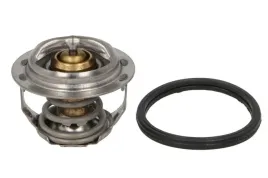 termostat-srodka-chlodzacego-294-88k