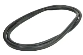 uszczelka-szyby-tyl-do-renault-clio-i-05-90-09-98-5703-04-6037819q