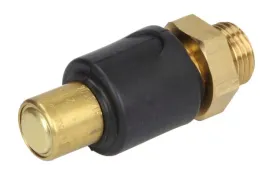 zawor-utrzymujacy-cisnienie-434-608-220-0