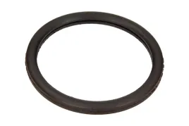 uszczelka-termostatu-renault-megane-14-16v-00-1-890-568-eps