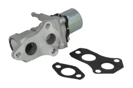 zawor-egr-48679-nrf