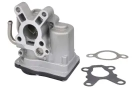 zawor-egr-48659-nrf