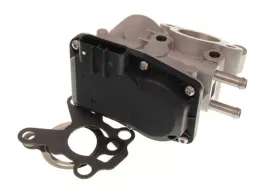 zawor-egr-48660-nrf