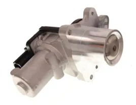zawor-egr-48648-nrf