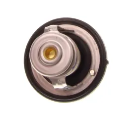 termostat-srodka-chlodzacego-nrf-725251